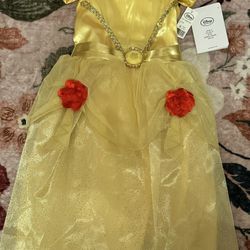 Disney Princess Dress 