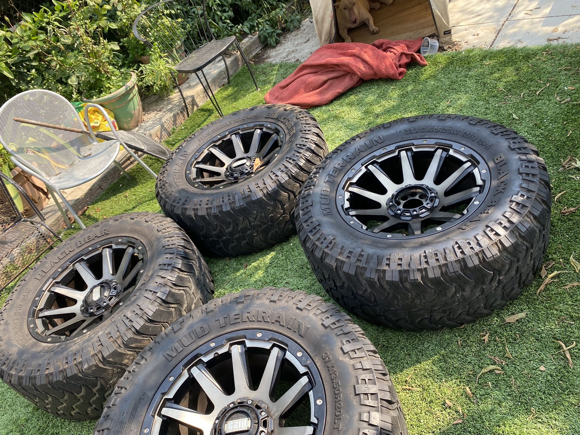 Rims with tires