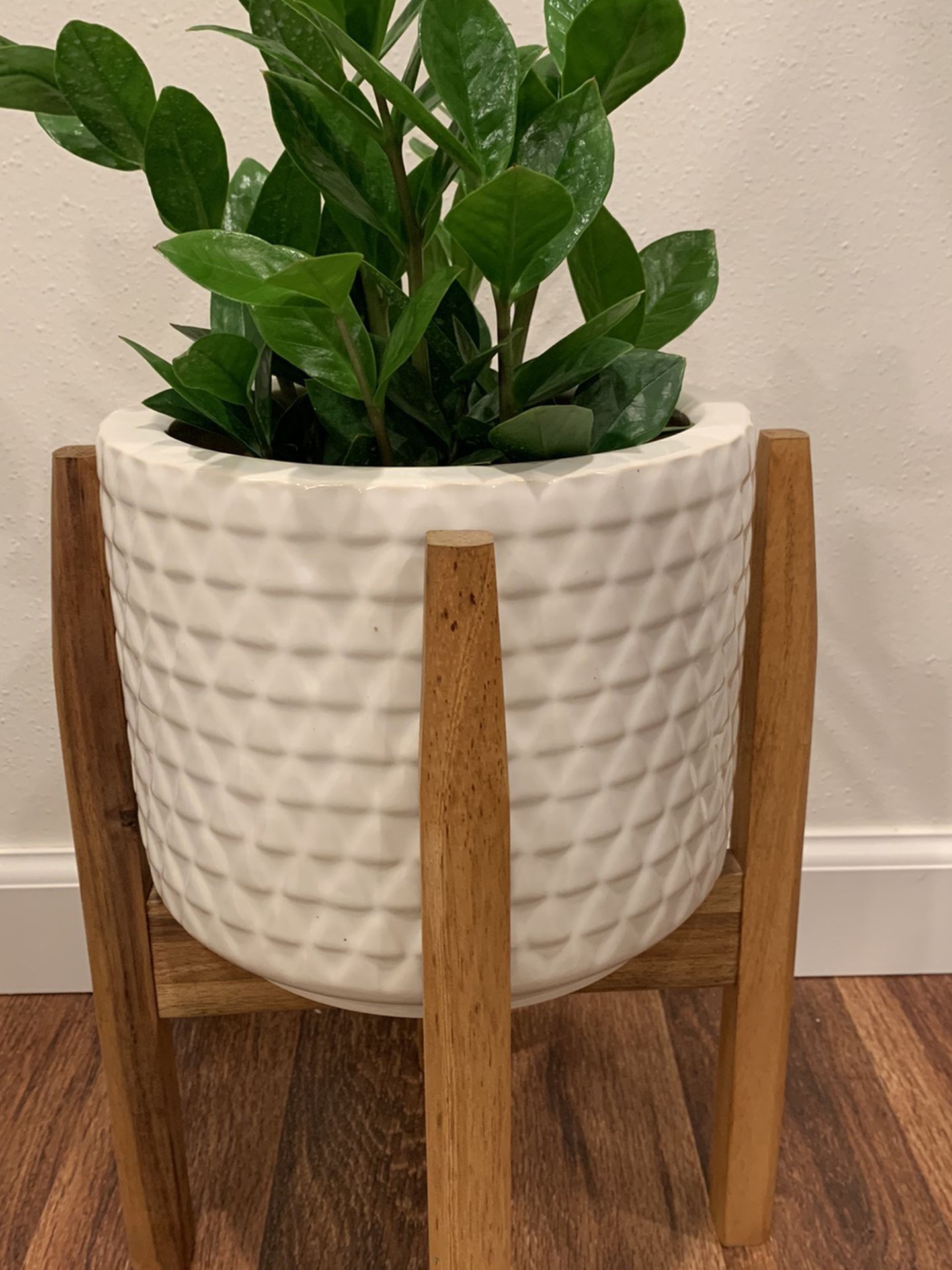 Ceramic Planter With Plant Stand