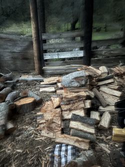 Free firewood