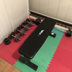 Lot Of Weights Dumbell Curl Bar And Bench