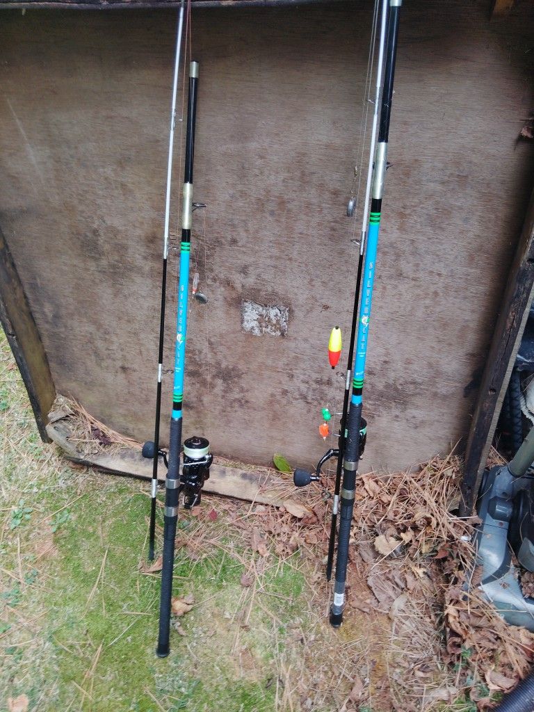 B'N'M Silver Cat Combo Rod