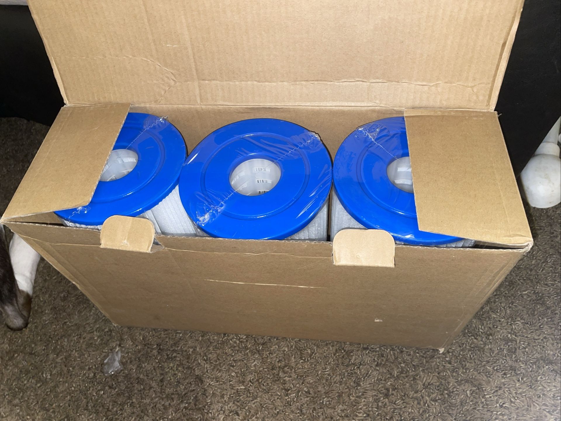 3 Pack Pool Filters