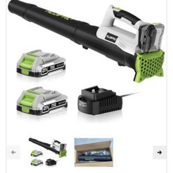 Leaf Blower Cordless with 2x2.0Ah Batteries and Fast Charger 21V Lightweight