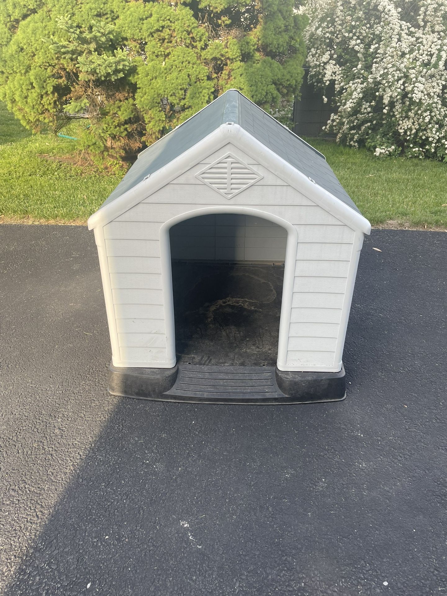 Dog House