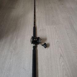 Okuma Salmon Rod