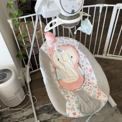 Baby Swing
