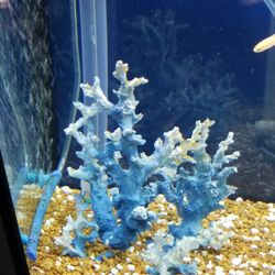 Blue Corral Reef Fish Tank Decor 