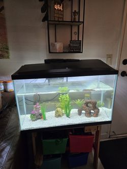 Fish Tank