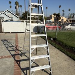 Ladder 8ft