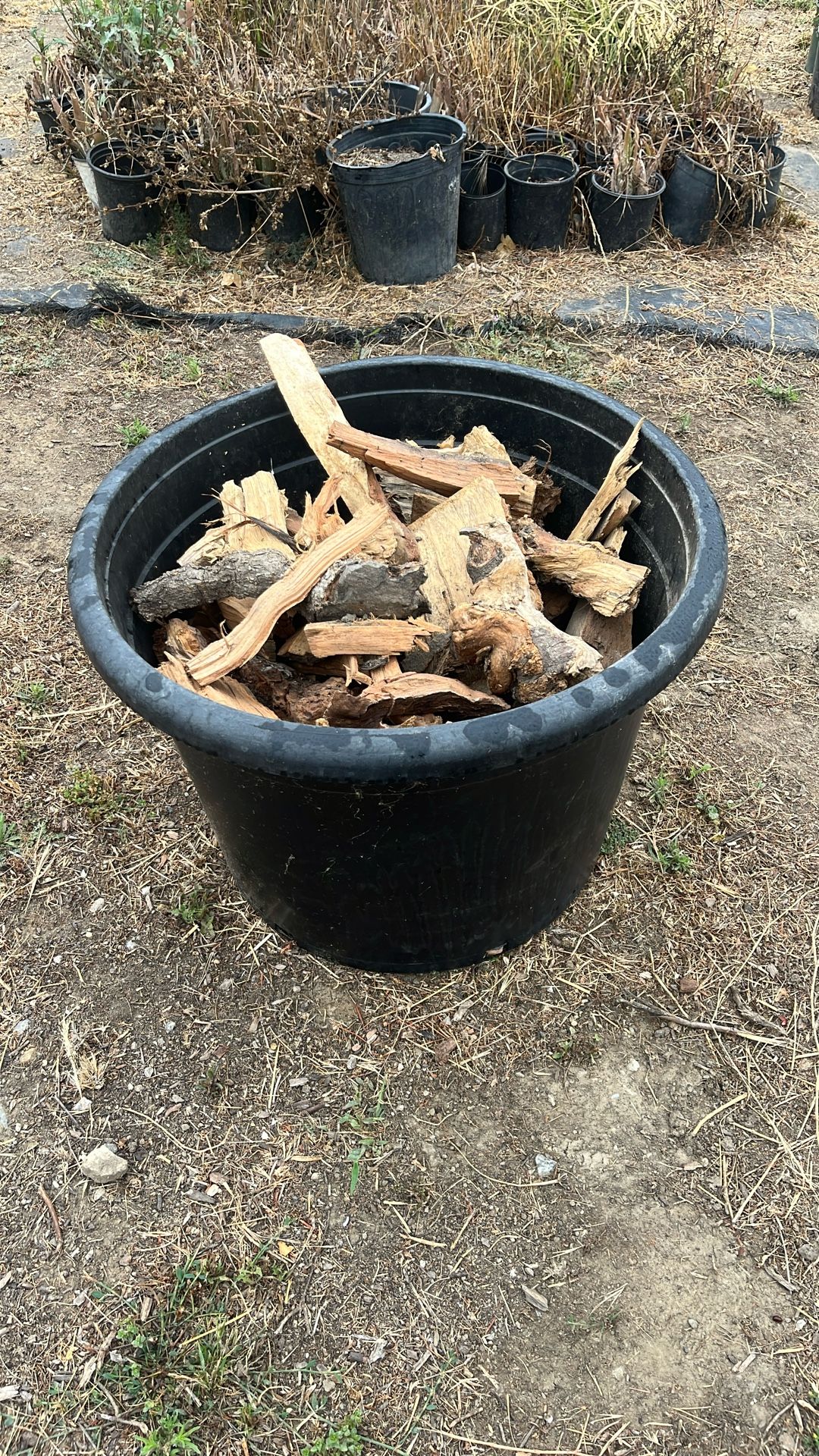 Firewood