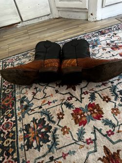 caiman boots