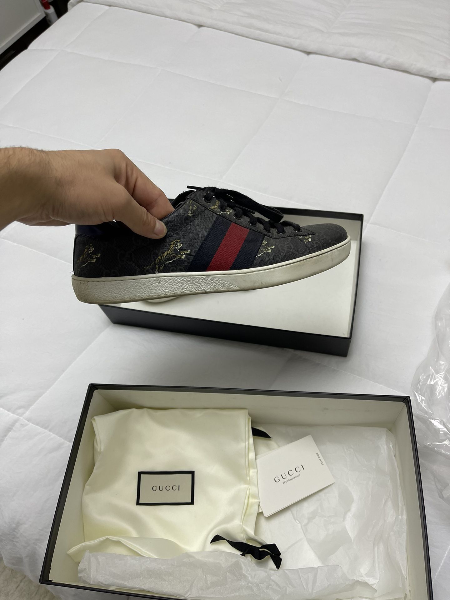 Gucci Sneakers 8.5