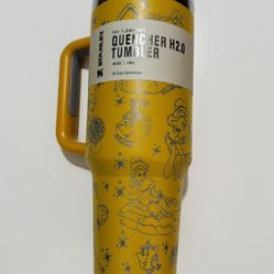 beauty and the beast Disney Princess Laser engraved Custom Stanley