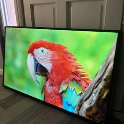 TCL 50" CLASS 4-SERIES 4K UHD HDR ROKU
