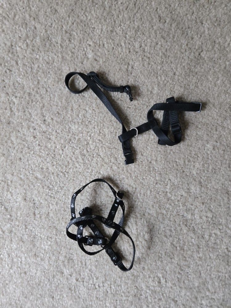 2 Small Dog Harnesses 
