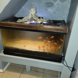 40 Gallon Breeder Tank 