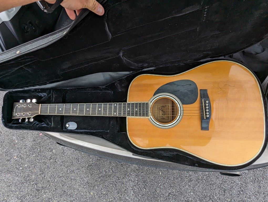 elezan acoustic guitar al-100