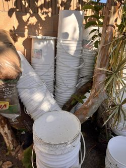 White 5 Gallon Buckets w/o lids