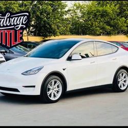 2020 Tesla Model Y