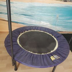 Trampoline 40 ' Diameter, Good Condition  works just fine
