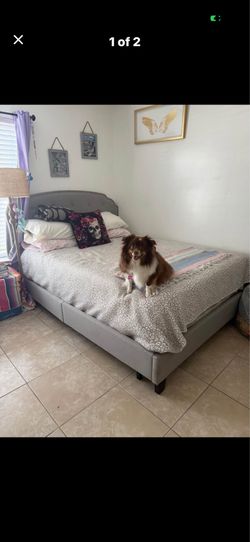 Queen bed frame/ and bed if want