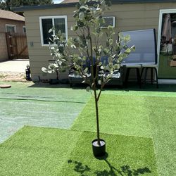 Eucalyptus Artificial Tree New &$45