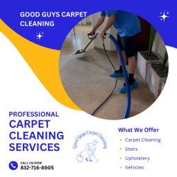 Carpet Cleaner