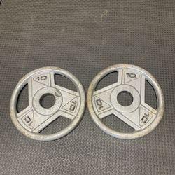 Olympic Weights Pair