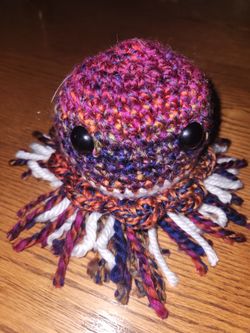 Jellyfish