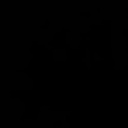 Alguien que toca Requinto de planta