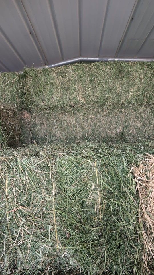 Alfalfa Hay 100-110lb