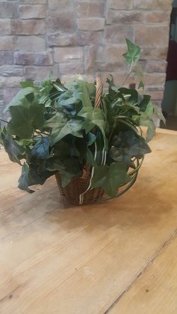 Decorative artificial plant