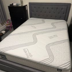 Full Bed + Mattress 
