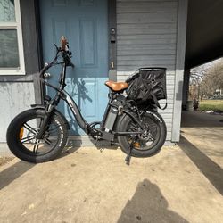Electric Bike
