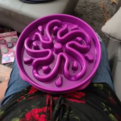 Outward Hound Fun Feeder Bowl