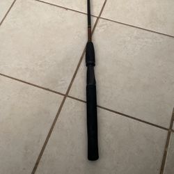 Ugly Stick Rod