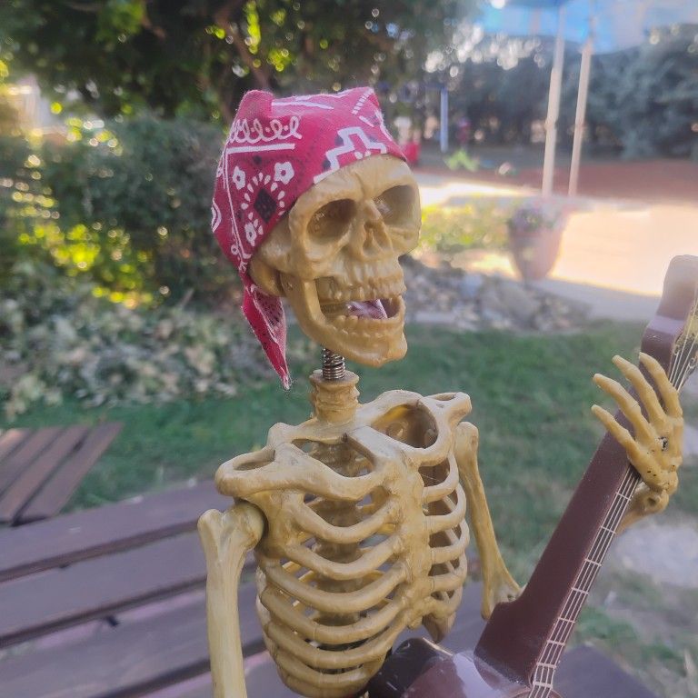 Halloween Skeleton Animated Songs Plays Banjo and Moves to the Song, "Oh Susana" Sitting On a RIP Tombstone