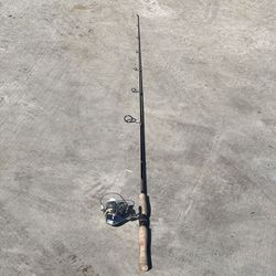 Quantum Fishing Rod