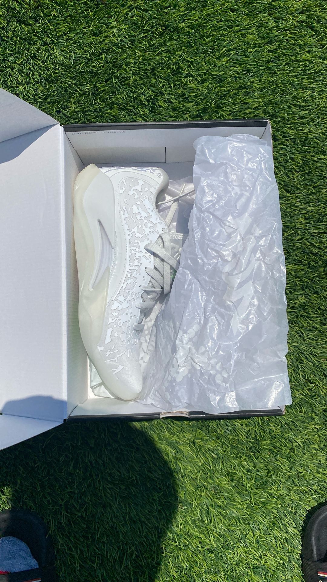 Jordan Zion 3