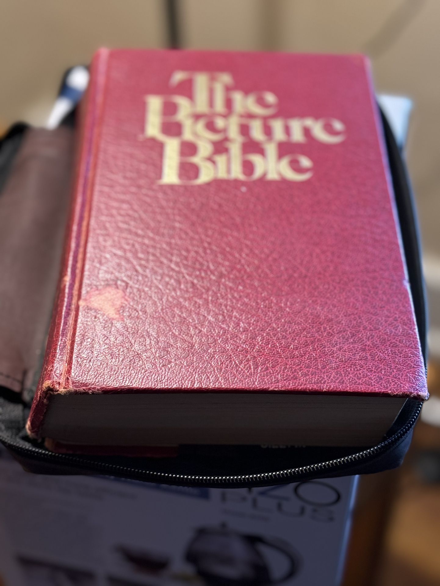 The Picture Bible