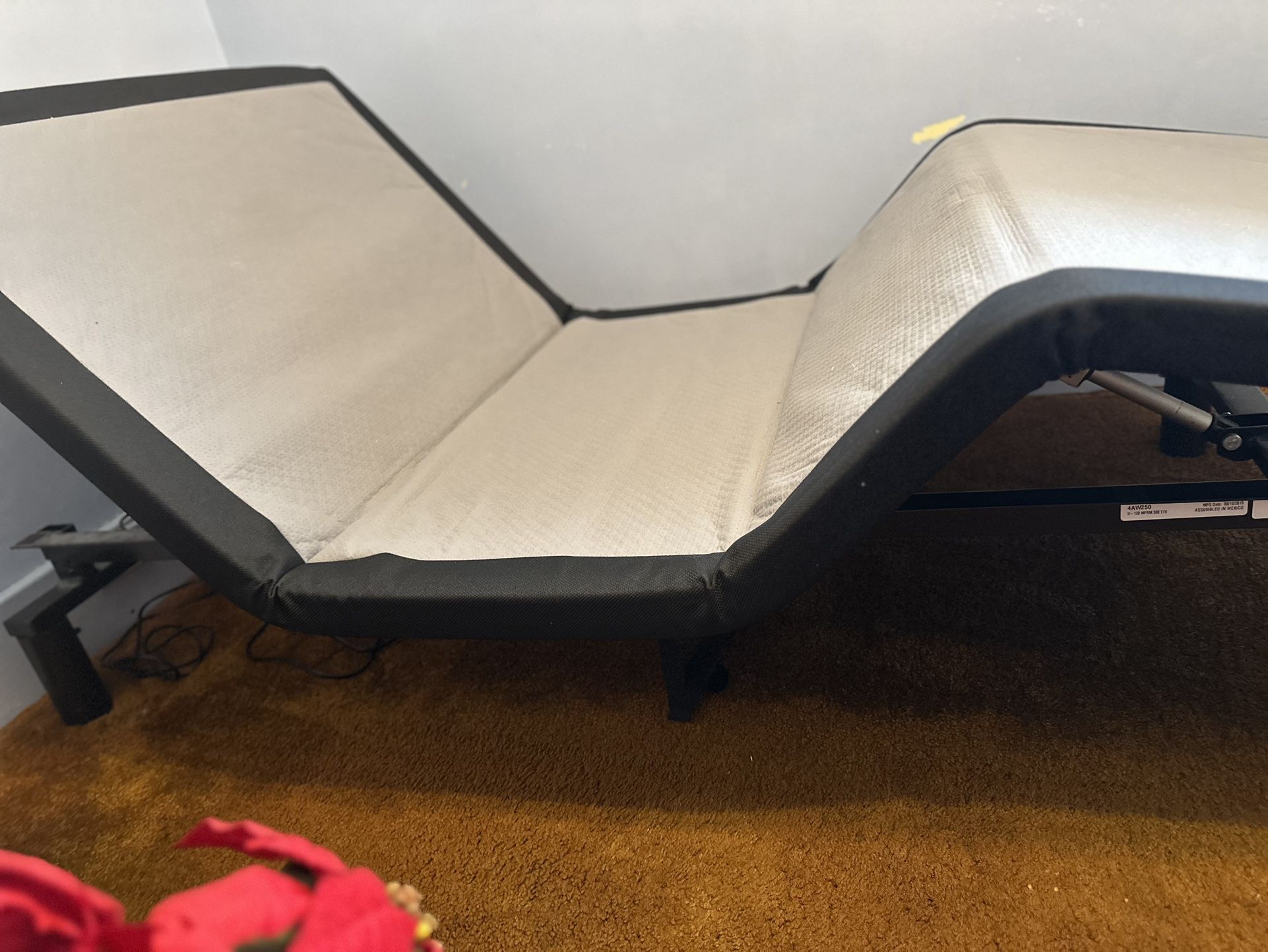 Electric Adjustable Twin Bed