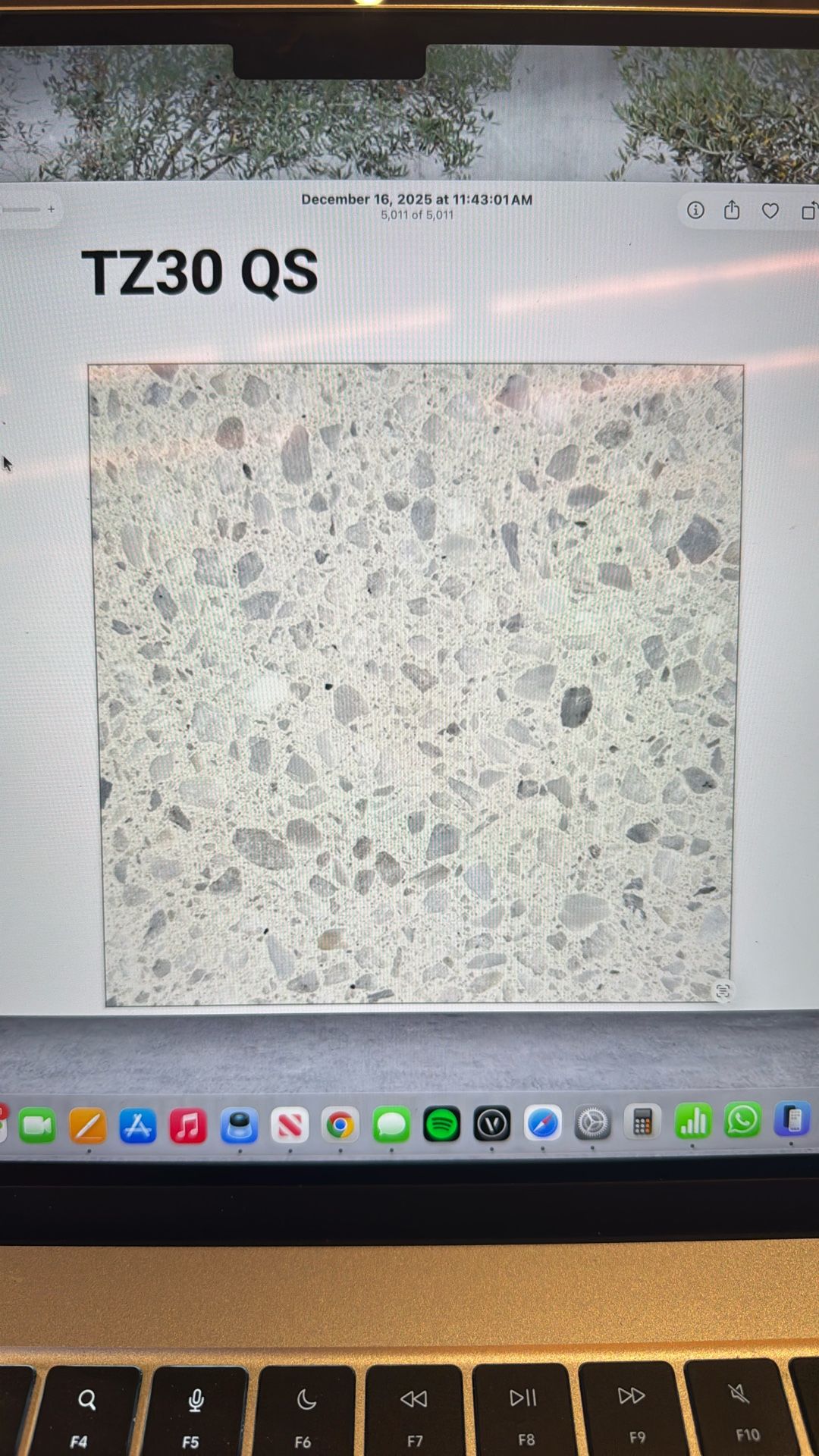 White Terrazzo Tile 24x24 570sf