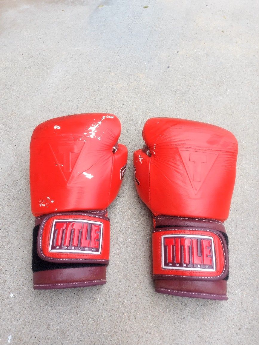 Adult Size Title Boxing Gloves