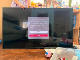 55” Screen TV - LG - 1080p - 29” x 49”