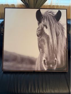 painting of a solitary horse 31 1/2x 31 1/2”