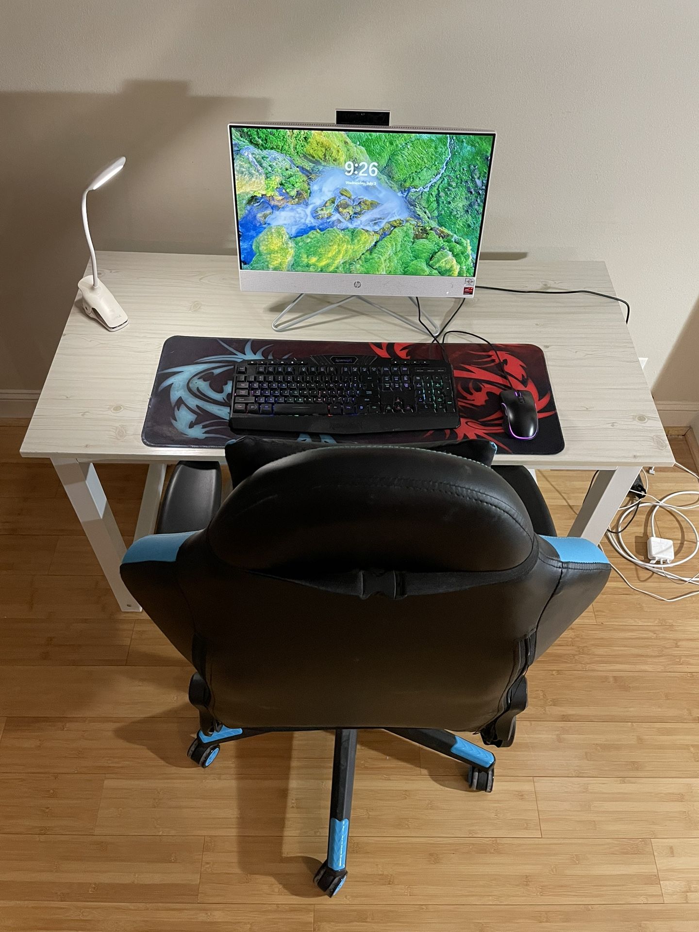 HP all In One Computer