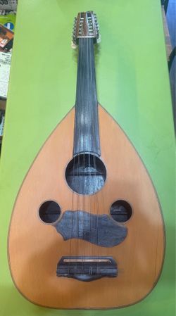 Acoustic/Electric professional Oud