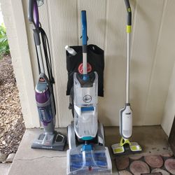 Carpet cleaner and steamer