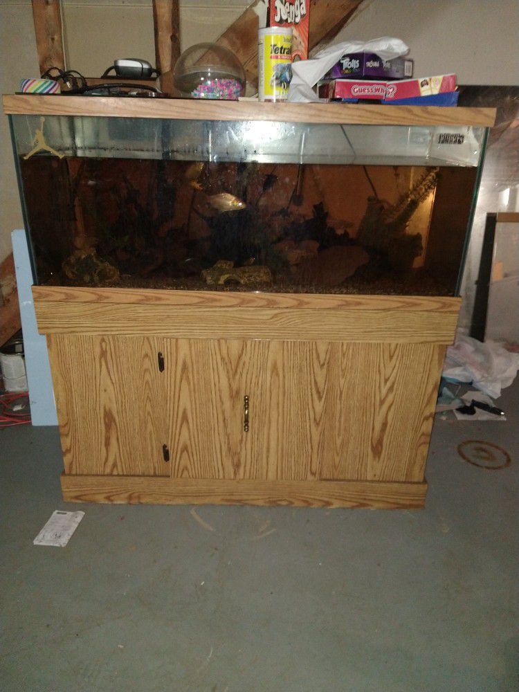 Fish And 55gal Tank With Stand And Glass Top